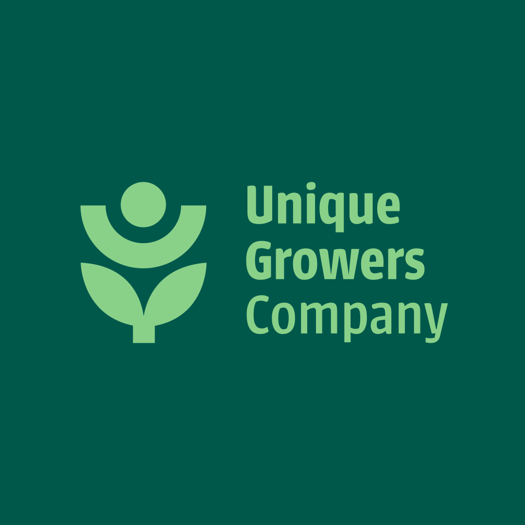 Logo ontwerp voorbeeld